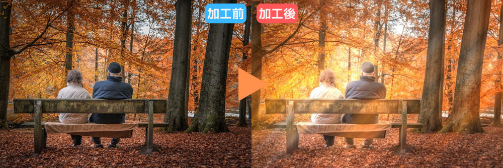 光線エフェクトで木漏れ日風写真に