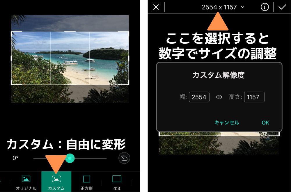 サイズ変更
イメージ画像