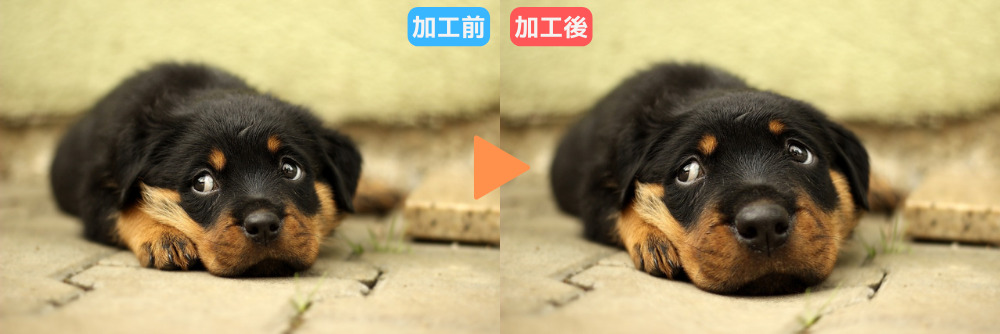 魚眼
ビフォーアフター